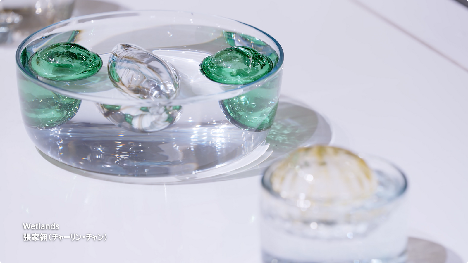 Taiwan Design Research Institute 未來之花見 TAIWAN HOUSE 東京展 映像