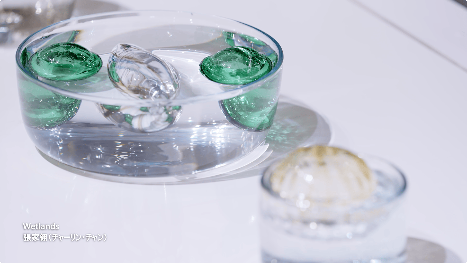 Taiwan Design Research Institute 未來之花見 TAIWAN HOUSE 東京展 映像