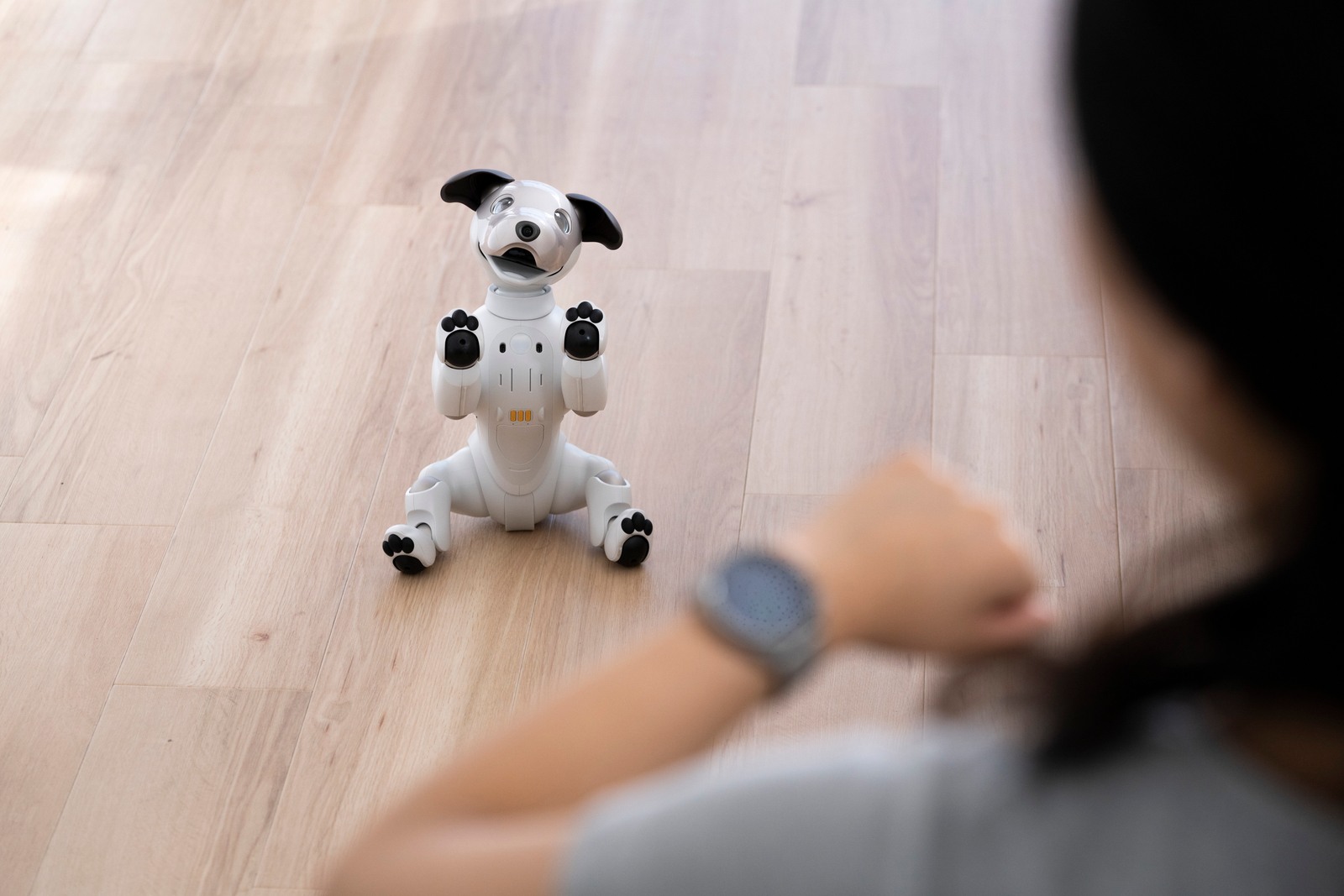 Citizen Eco Drive Riiiver x Sony aibo 映像