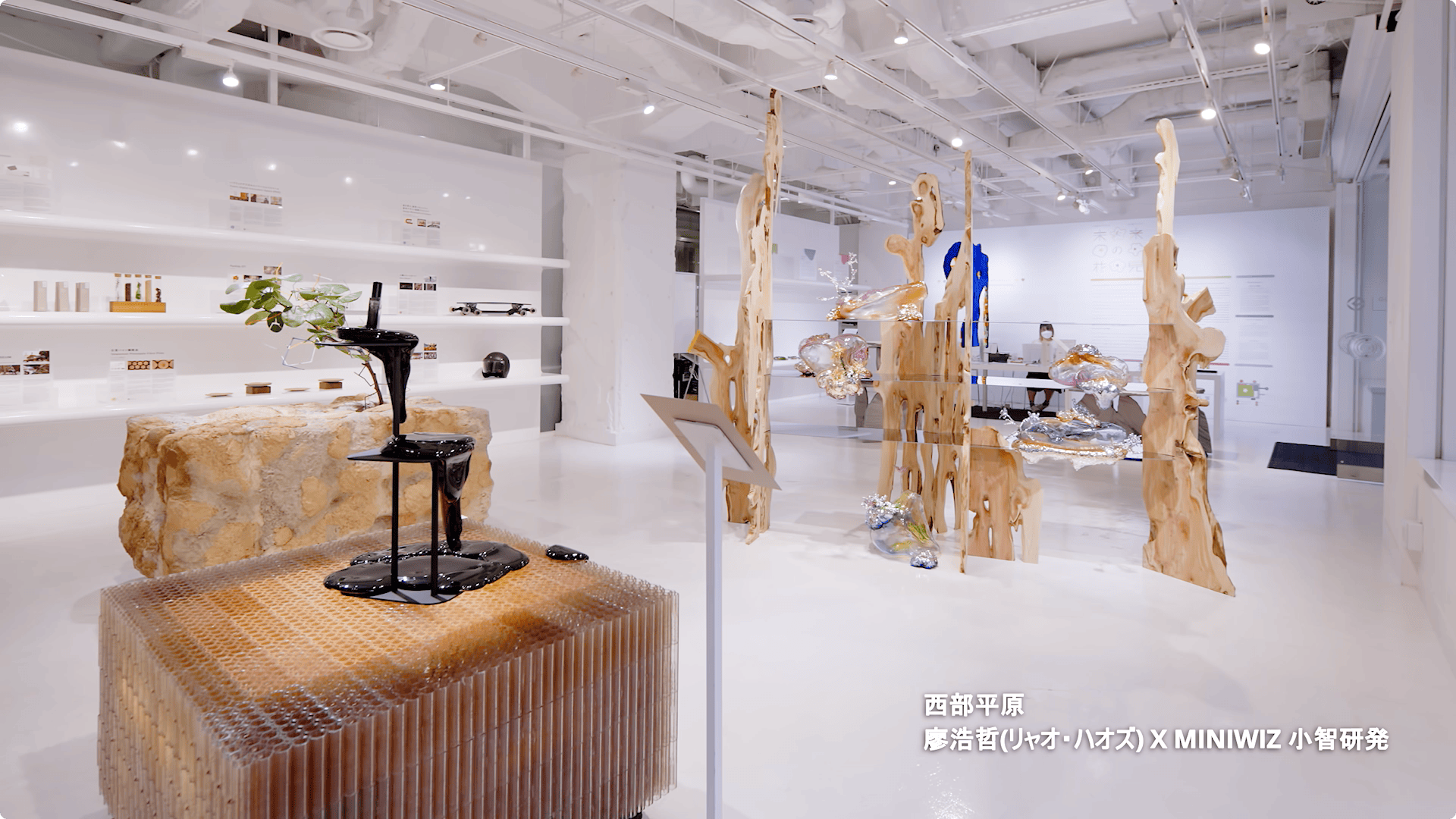 Taiwan Design Research Institute 未來之花見 TAIWAN HOUSE 東京展 映像