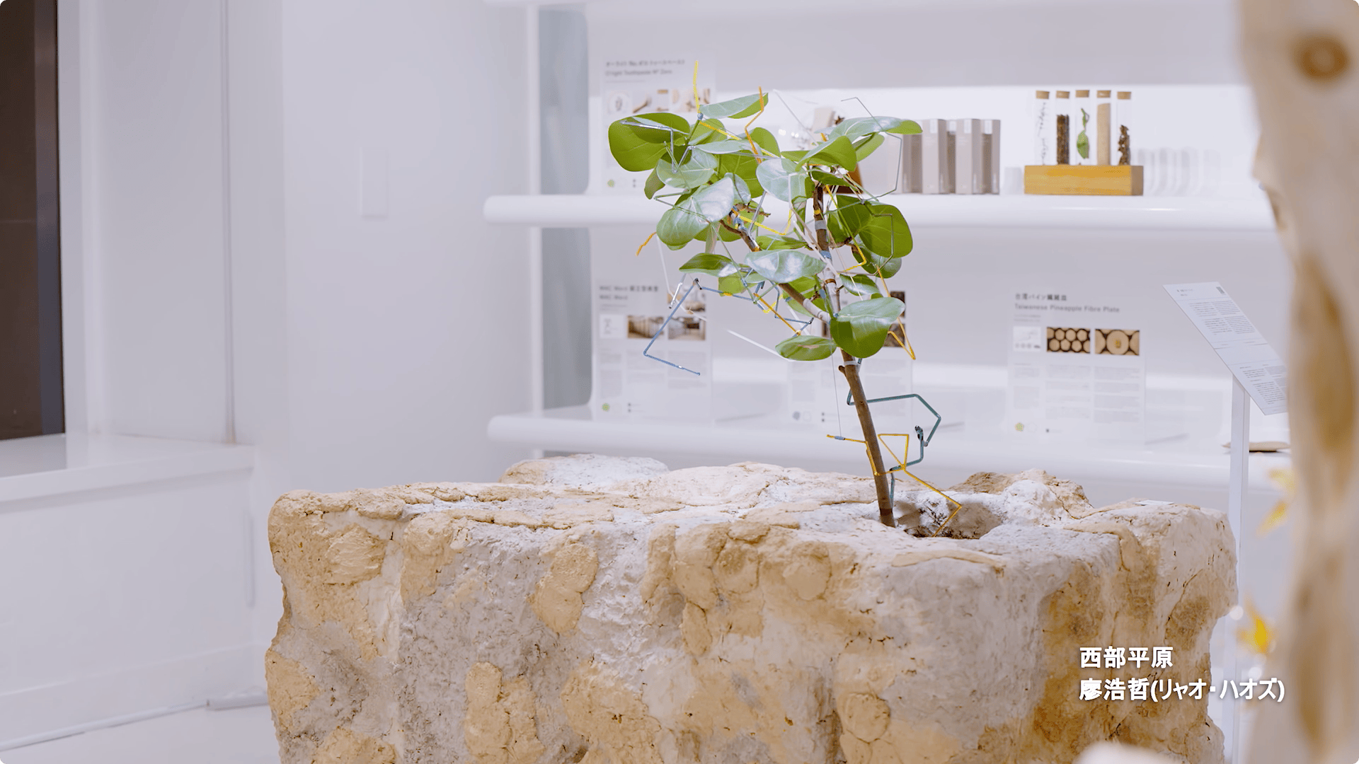 Taiwan Design Research Institute 未來之花見 TAIWAN HOUSE 東京展 映像