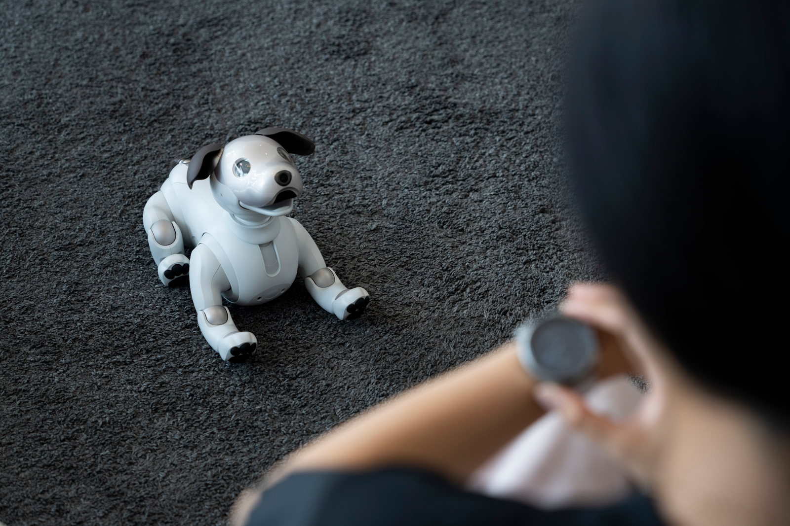 Citizen Eco Drive Riiiver x Sony aibo 映像