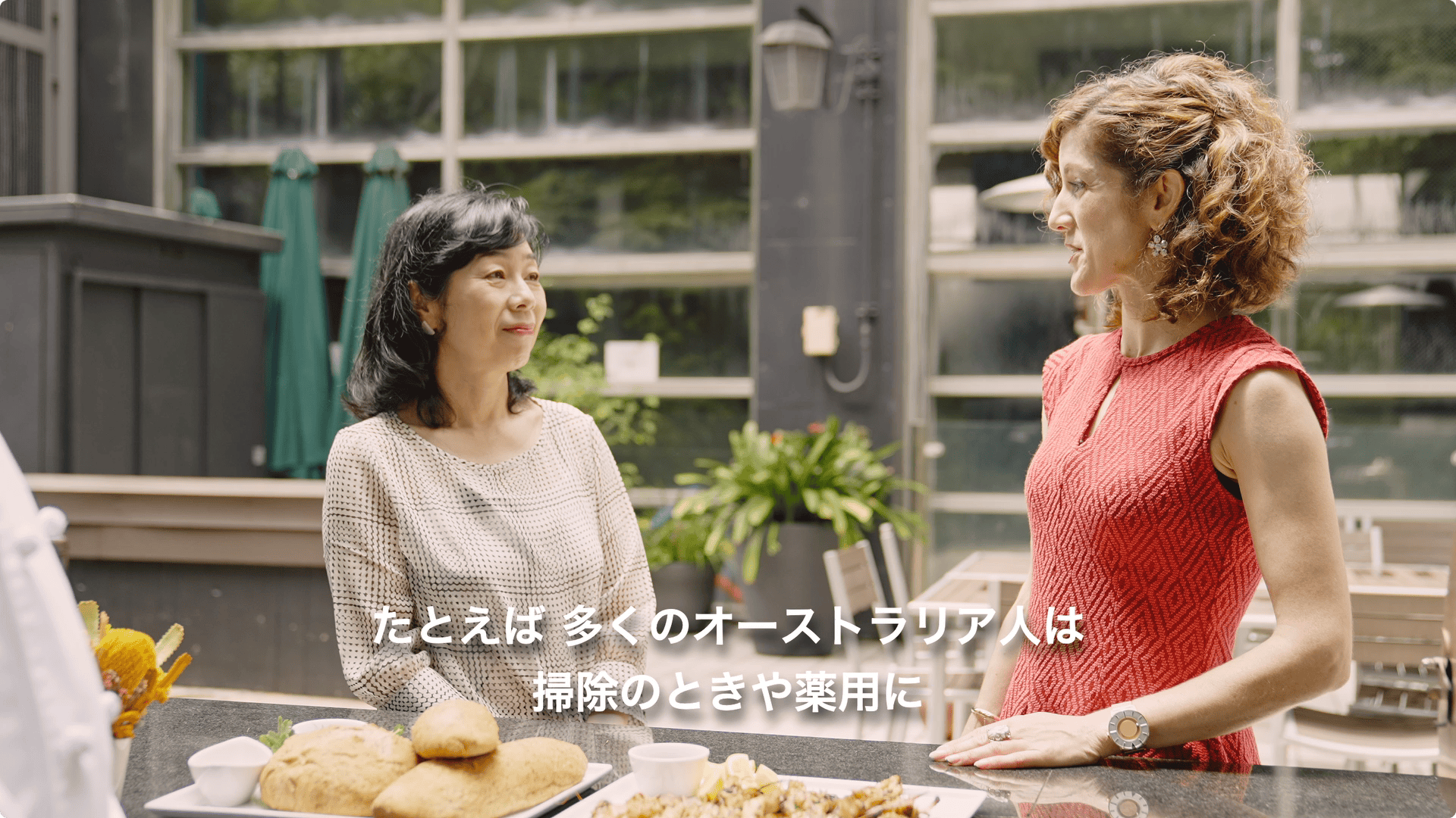 在日オーストラリア大使館 豊かな固有野生植物 映像
