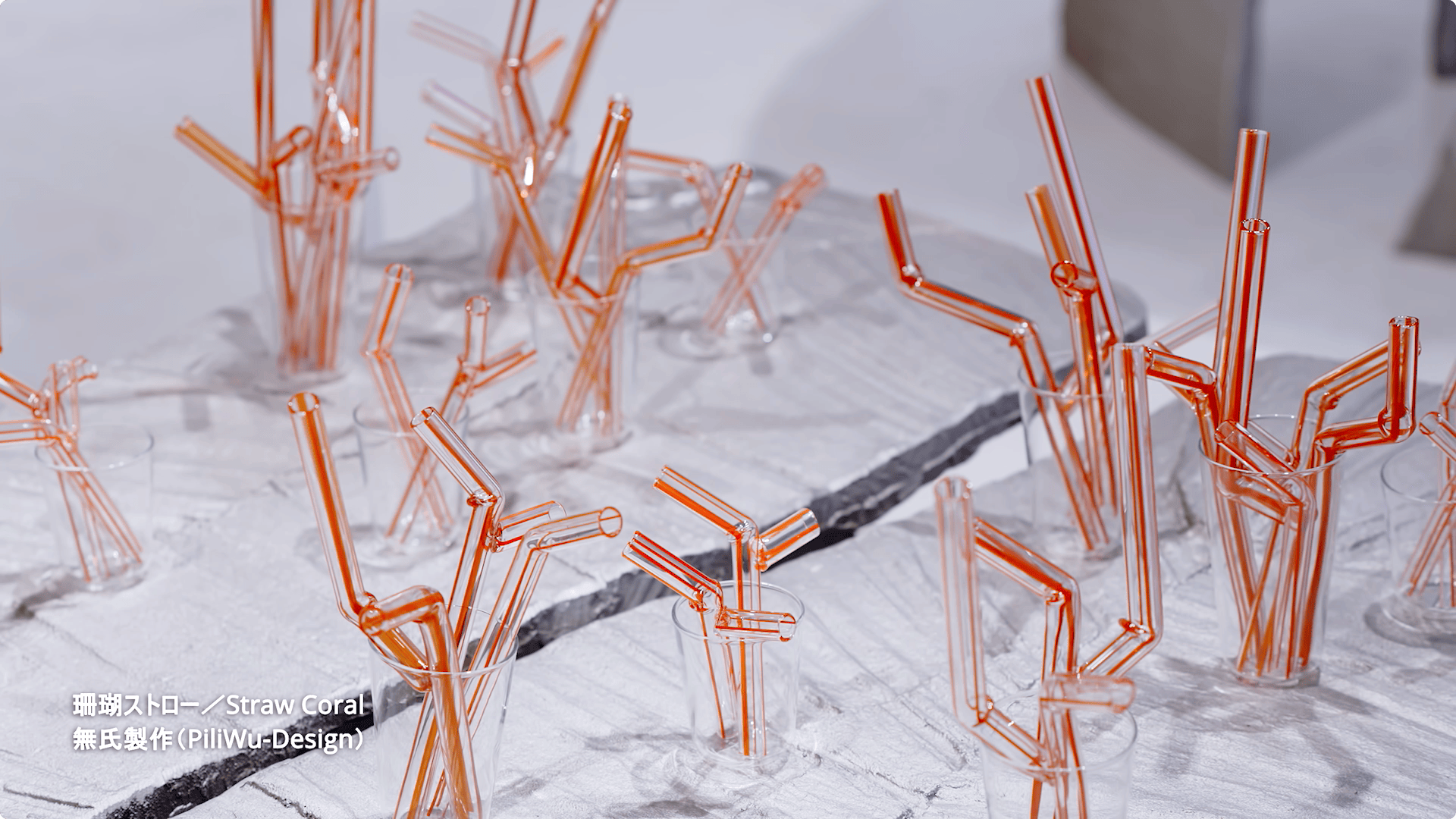 Taiwan Design Research Institute 未來之花見 TAIWAN HOUSE 東京展 映像